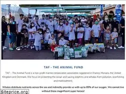 Sites similar to theanimalfund.net