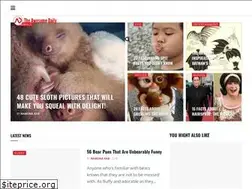 Sites similar to theawesomedaily.com