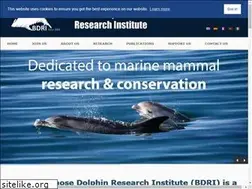 Sites similar to thebdri.com