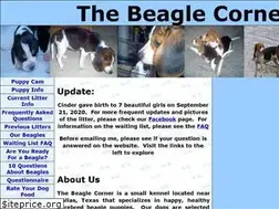 Sites similar to thebeaglecorner.com