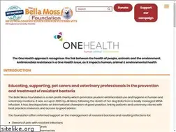 Sites similar to thebellamossfoundation.com