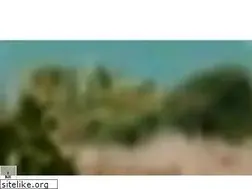 Sites similar to thebigeasy.co.nz