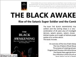 Sites similar to theblackawakening.com