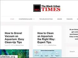 Sites similar to theblackurbantimes.com