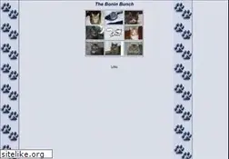 Sites similar to theboninbunch.com