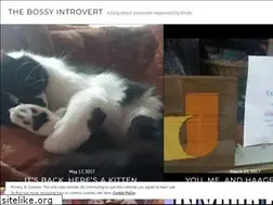 Sites similar to thebossyintrovert.com