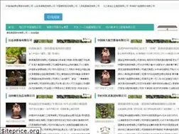Sites similar to thebrainbuckets.com