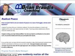 Sites similar to thebraudisgroup.com