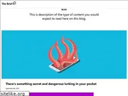Sites similar to thebrief.org