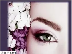 Sites similar to thebrowlady.net
