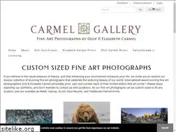 Sites similar to thecarmelgallery.com