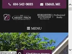 Sites similar to thecarseypros.com