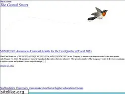 Sites similar to thecasualsmart.com