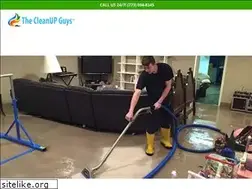 Sites similar to thecleanupguys.com