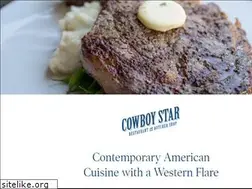 Sites similar to thecowboystar.com