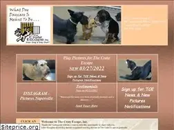 Sites similar to thecrateescape.com