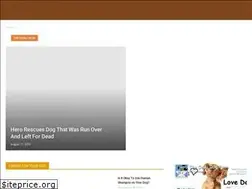 Sites similar to thedailydogpost.com