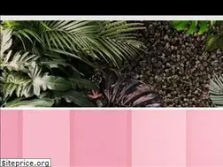 Sites similar to thedashbar.com
