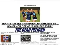 Sites similar to thedeadpelican.com