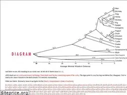 Sites similar to thediagram.com