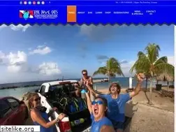 Sites similar to thedivebus.com