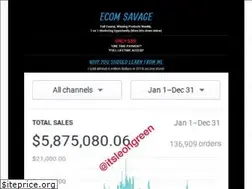 Sites similar to theecomsavage.com