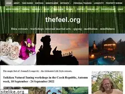 Sites similar to thefeel.org