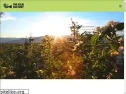 Sites similar to thefilmfactory.ca