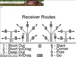 Sites similar to theflagfootballplaybook.com