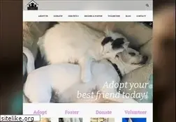 Sites similar to theforgottendog.org