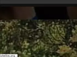 Sites similar to thegreenrace.hk