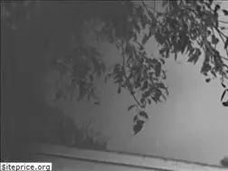 Sites similar to thehailsofficial.com