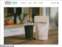 Sites similar to thehealersstore.com