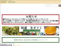 Sites similar to thehimeichibrand.com
