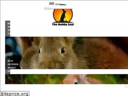 Sites similar to thehobbyzeal.com