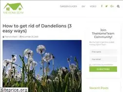 Sites similar to thehometeam.tv