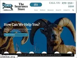 Sites similar to theinsurancestoreradcliff.com