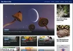 Sites similar to theislandnow.com