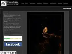 Sites similar to thejunglelook.com