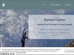 Sites similar to thekarunagroup.com
