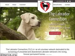 Sites similar to thelabconnection.org