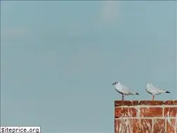 Sites similar to thelandingservices.ca