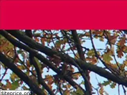Sites similar to thelightbox.org.uk