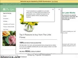 Sites similar to thelittleflowersandiego.com