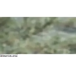 Sites similar to themagnoliavenue.com