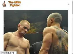 Sites similar to themmafighter.com