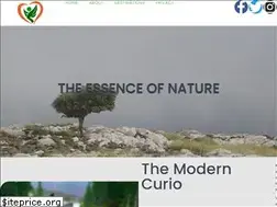 Sites similar to themoderncurio.com