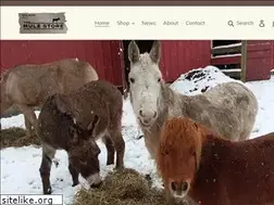 Sites similar to themulestore.com