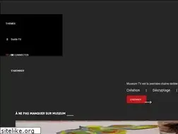 Sites similar to themuseumchannel.tv