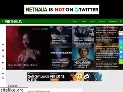 Sites similar to thenetnaija.net